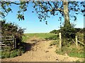 Llwybr Parc y Delyn Path