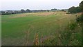 Large field at Borough Farm