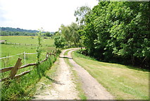 TQ4238 : Track near Homestall by N Chadwick
