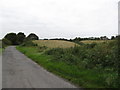 Undulating land west of Bonds Bridge