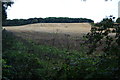 SE5345 : Harvested field near Bilbrough by Bill Boaden