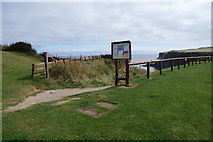 NZ9110 : Path down to the beach at Saltwick Bay by Bill Boaden