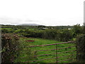 View east from Bonds Road to houses on Drumalt Road