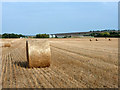 Stubble field with straw bales