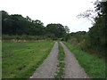 Track into Stainton Wood