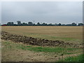 Farmland, Barfield House