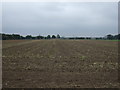 Farmland off the A158