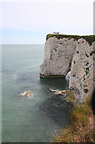 SZ0582 : Chalk Cliffs by Anne Burgess