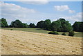 Countryside by Eden Valley Walk