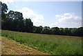 Countryside near Oast Farm