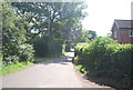 Narrow lane near Hever