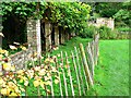ST7793 : Orangery, Newark Park, Ozleworth, Gloucestershire by Brian Robert Marshall