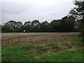 Farmland, Sudbrooke