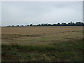 Farmland off Hawthorn Road