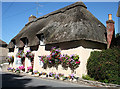 Thatched Cottage