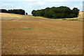 Farmland by the Bedford Road