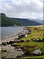 Shoreline At Ardnahein