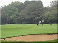 Golfers on North Down Golf Course