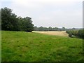 Pond Field/Barn Field/Great Field/Workhouse Field