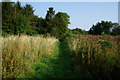 Footpath leading to North Thoresby