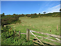 Field beside Cliff Road