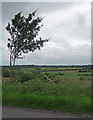 Farmland near Elton on the Hill