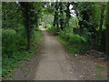 Wey South path, near Shalford