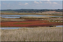 TG0644 : View to Salthouse over Arnold's Marsh by Pauline E