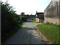 Green lane towards Thornholme