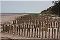 TF7145 : Zigzag groynes at the back of the beach by Pauline E