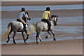 TF7145 : A canter along West Sands by Pauline E