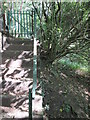 Footpath Steps & Gate