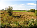 Pullyernan Townland