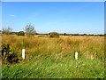 Pullyernan Townland