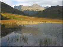 NY2904 : Blea Tarn - the view that launched a thousand postcards by Karl and Ali