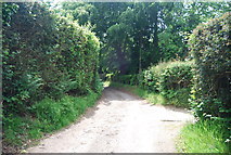 TQ4136 : Path to Ashurst Wood by N Chadwick