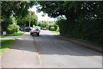 TQ4136 : Woods Hill Lane by N Chadwick