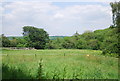 Field near Salmon Wood