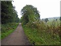 SK2999 : Trans Pennine Trail near Barnsley by Steve  Fareham