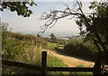 Footpath, Widdicombe