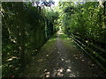 Footpath alongside the M1 motorway