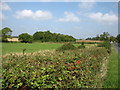 Country near Admington