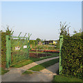 Ruddington: Buttercup Allotments