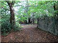 Llwybr Glyntai Fawr Path