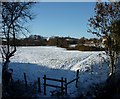 Footpath and fields off Magdalen Lane, Bridport