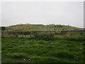 Long barrow, Fairmile Down