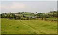 View north across grazing land to Kiltybane Lough