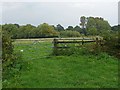 SU9945 : Fields near Gosden Common by Alan Hunt