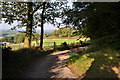 Mid Devon : Farm Track