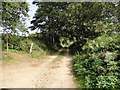 Sandy Lane, near Leiston Common